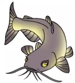 bullhead_img bullhead_img